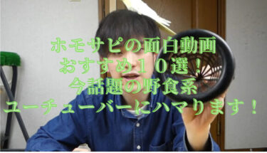 加藤純一の観るべきおすすめゲーム実況は うんこちゃんベスト17選をピックアップ